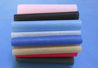 凌云涤纶（PET）无纺布是什么